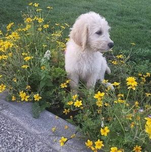 Meet your Posher, Cindy